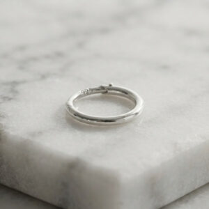 silver round nose ring