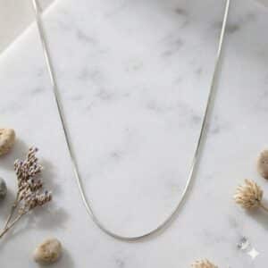 2 b1fa7d18 79a7 4a81 9ed1 fdd0c24d0956