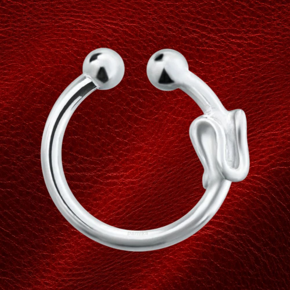 Nose Pin/ Ring